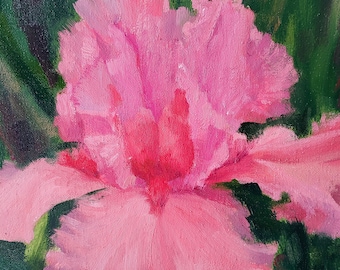 Original rosa iris oljemålning på duk 35 x 28 cm