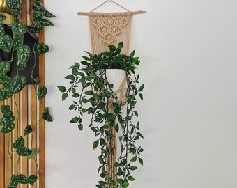 Macrame Wall Planthanger