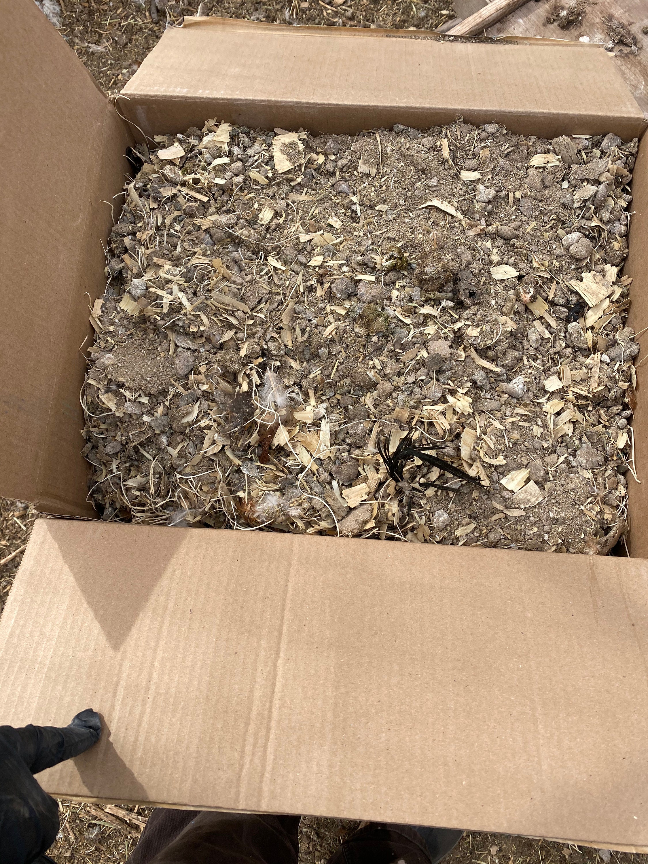 ORGANIC CHICKEN MANURE 5 lb Etsy