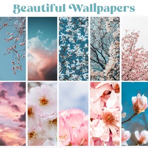May include: A collage of nine images featuring pink and white flowers against a blue sky background. The images show close-ups of the flowers, as well as wider shots of the trees they are growing on.
