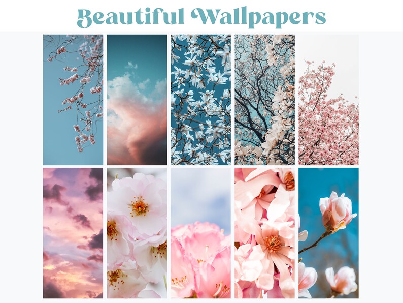 May include: A collage of nine images featuring pink and white flowers against a blue sky background. The images show close-ups of the flowers, as well as wider shots of the trees they are growing on.