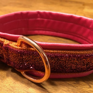 Dog collar, collar, dog collar, collar, collier pour chien, dog, chien