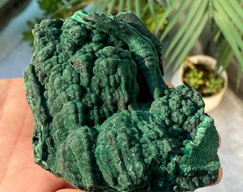 May include: A vibrant, deep green malachite specimen with a textured, bubbly surface. The natural stone is held in a hand, showcasing its rich color and unique patterns. This mineral specimen is a striking example of natural artistry.