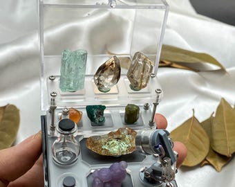 Miniature Mineral Display Case | Specimen Showcase for Crystal Collection | Small Display Box with Lid