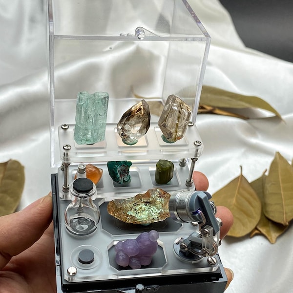 Miniature Mineral Display Case | Specimen Showcase for Crystal Collection | Small Display Box with Lid