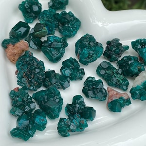 Puede incluir: Una colección de pequeños cristales de dioptasa en bruto de color verde azulado intenso, con superficies facetadas y parches ocasionales de matriz mineral de color marrón claro o blanco, esparcidos sobre un plato de cerámica blanco en forma de corazón.