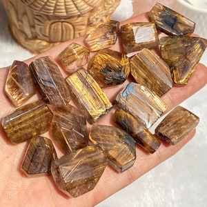 May include: A selection of polished, golden-brown crystals with internal striations. The crystals are various shapes, from rectangular to trapezoidal, and are translucent. The crystals are held in a hand, suggesting they are small and portable.