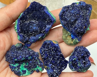 May include: Five raw azurite mineral specimens featuring deep blue crystalline clusters with patches of vibrant green malachite. Each piece displays a rough, jagged texture with sparkling surfaces, showcasing the natural contrast between the dark blue and bright green mineral formations.