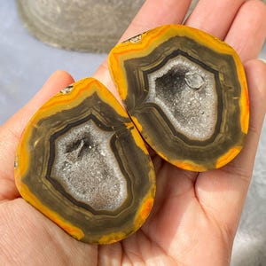 May include: Two polished agate slices, displaying concentric bands of yellow, orange, brown, and grey. The centres have sparkling crystal-filled cavities. The stones are held in a hand, highlighting their natural beauty and unique patterns.