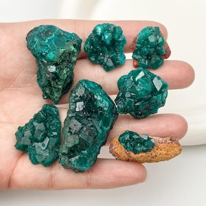 May include: A collection of vibrant, emerald-green dioptase mineral specimens. The crystals exhibit a distinctive, glassy luster and are displayed on a neutral background. The dioptase crystals vary in size and shape, showcasing their natural, unpolished forms.