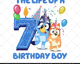 The Life Of A Birthday Boy Png, Bluey Showgirl, Birthday Party, Birthday Gifts Png, Happy Birthday, Birthday Family Matching, Bluey Numbers