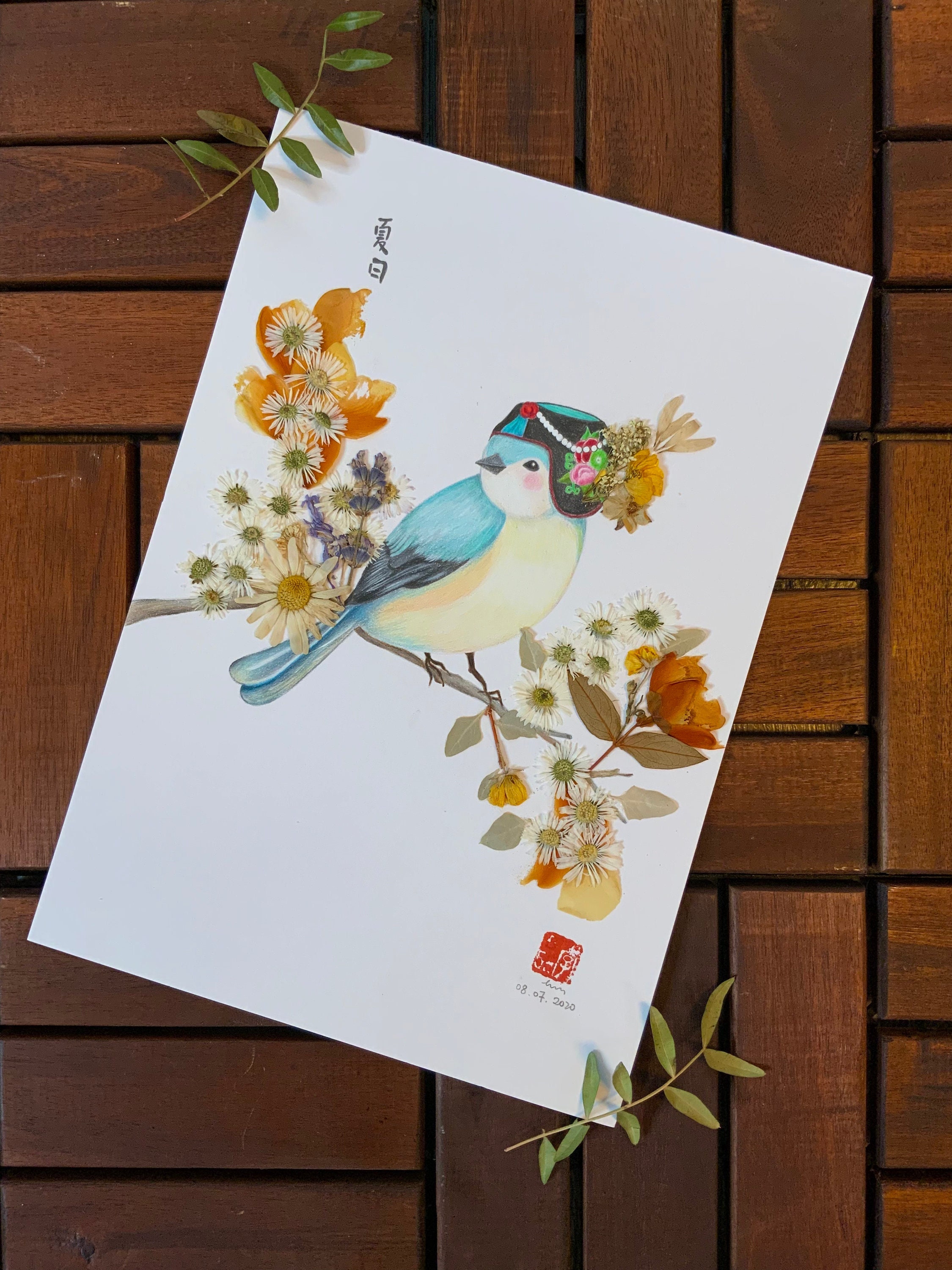 Herbier Fleurs Séchées Encadrées I Dessin Crayons de Couleurs Murale Art Décor Collection en Série J