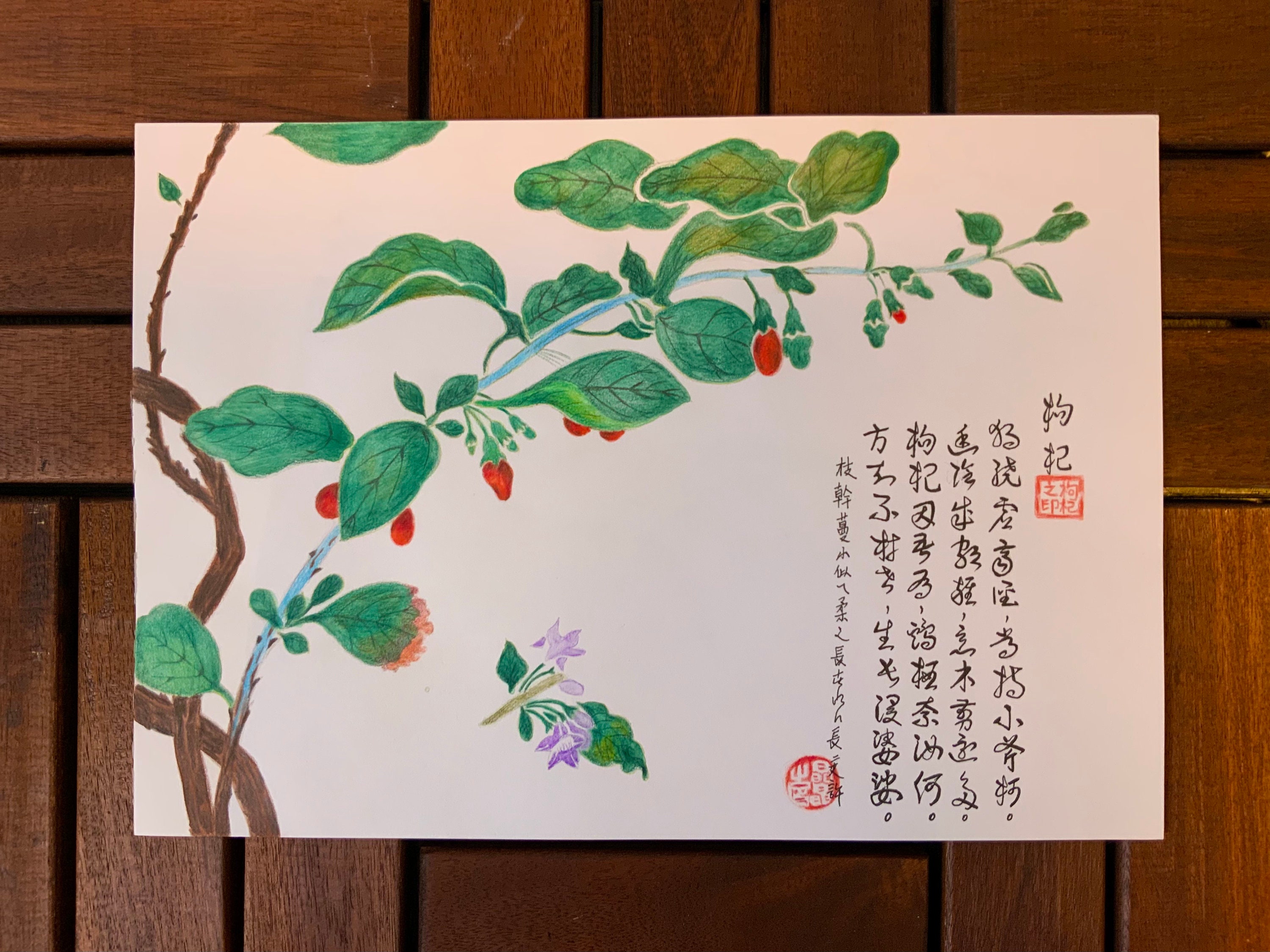 Dessin Crayons de Couleurs Aquarelle I Murale Art Décor Série Plantes Mon Souvenir