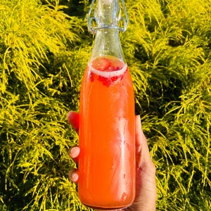 JUICE Infused with Sea Moss -  6pk