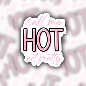 Chappell Roan sticker, Good luck babe sticker, midwest princess sticker, hot to go sticker, femininomenon sticker, pink pony club sticker