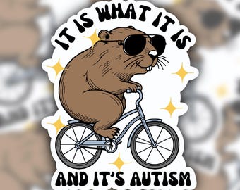 Pegatinas divertidas, pegatinas de moda, pegatinas tontas, pegatinas impermeables, pegatinas para computadora portátil, pegatinas lindas para computadora portátil, pegatinas de ganso tontas