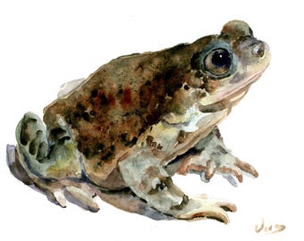 Pintura de acuarela de sapo: arte original de 8 x 10 pulgadas
