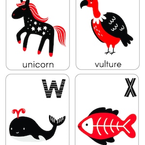 Baby High Contrast Alphabet Flash Card - Etsy