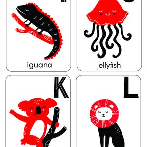 Baby High Contrast Alphabet Flash Card - Etsy