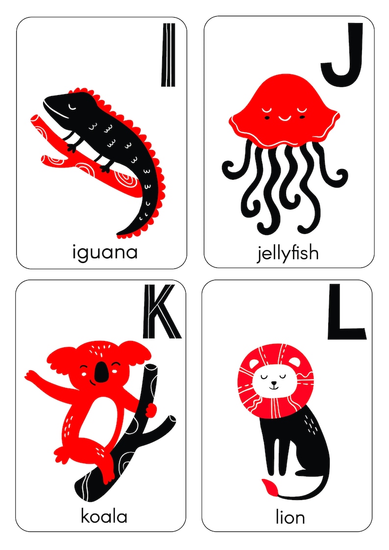 Baby High Contrast Alphabet Flash Card - Etsy