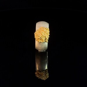 Elegant sterling silver ring with gold-plated accents image 3