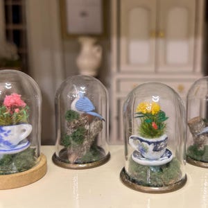 Dollhouse Miniature Terrariums