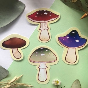 Mushroom Stickers - Medium Glossy Vinyl Adhesive for Journaling