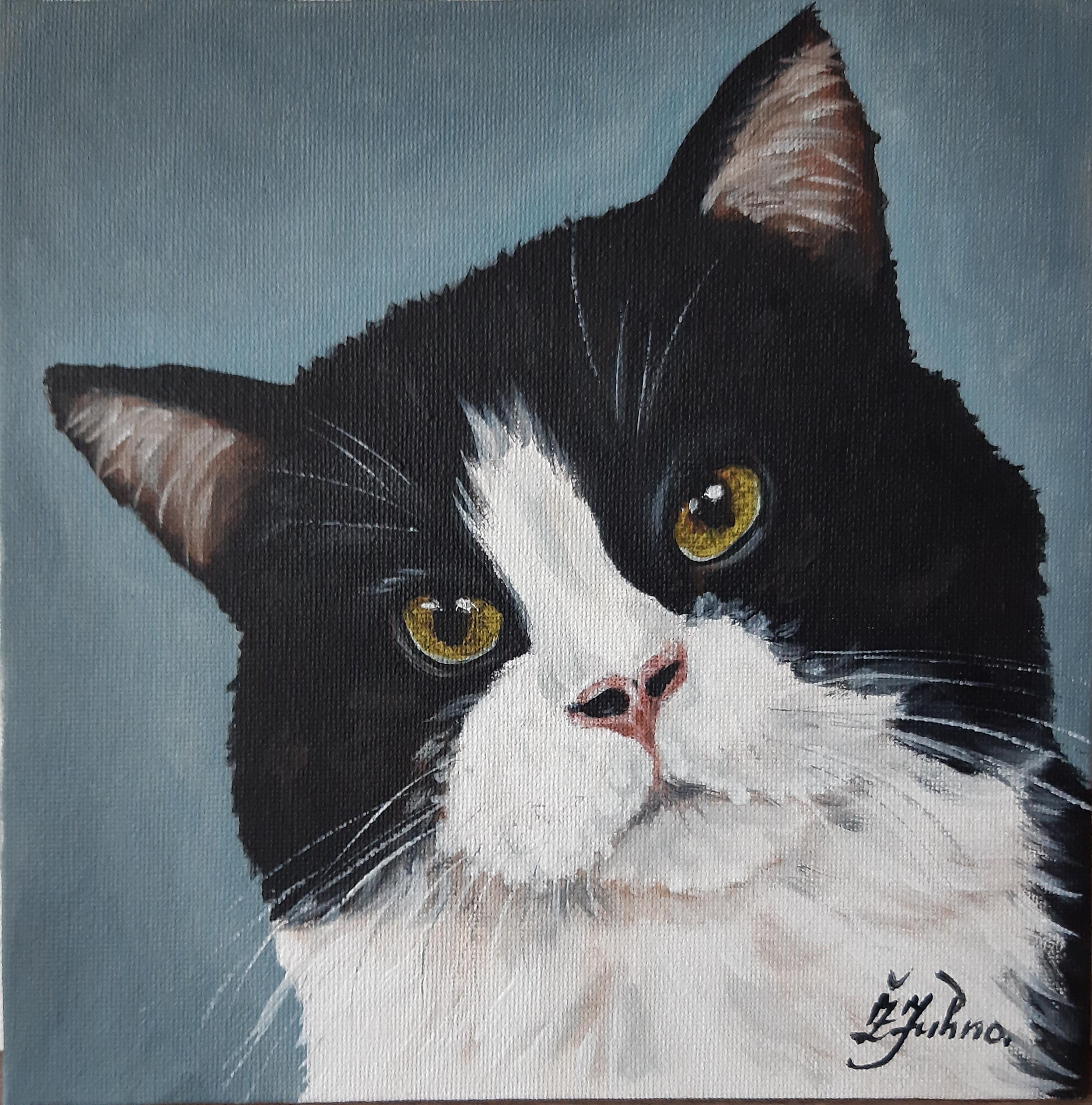 Black and White Cat Portrait – Original Oil Painting Tuxedo Cat Art ...