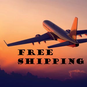 Capybara Painting: Original Oil Art, Cavy Lover Gift (9x12) imagem 13