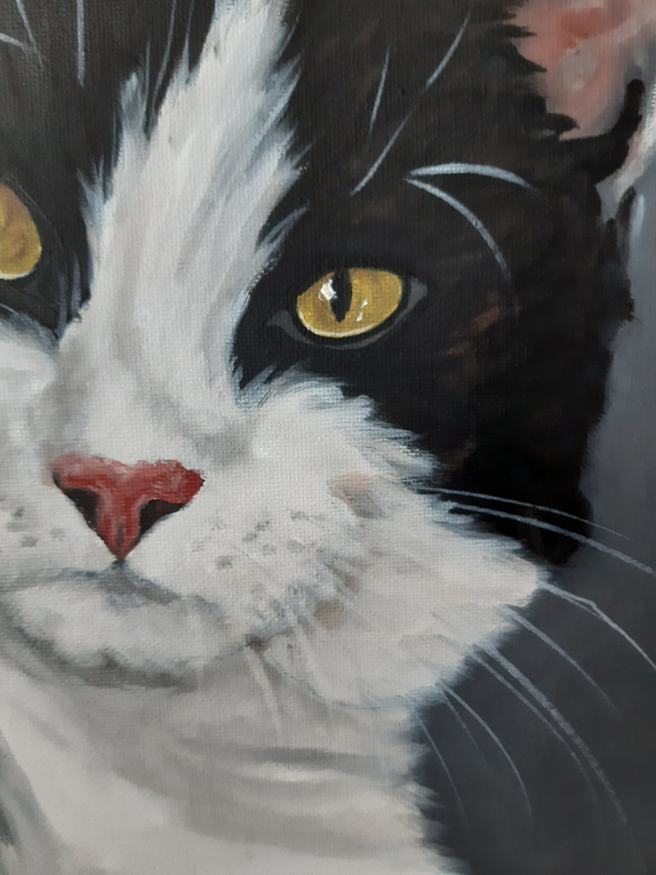 Black Cat Oil Painting: Tuxedo Cat Original Art, Green Eyes, 12x9 - Etsy