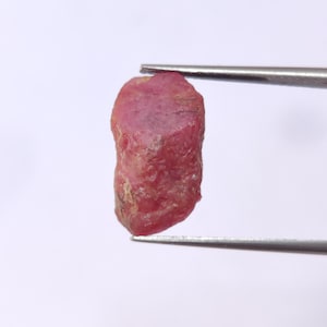 Könnte beinhalten: Ein rauer, ungeschliffener Rubin-Edelstein, der von einer Pinzette vor einem weißen Hintergrund gehalten wird. Der Rubin hat eine tiefrosa-rote Farbe mit einer leicht unregelmäßigen Form und sichtbarer Textur. Die Pinzette ist silberfarben.