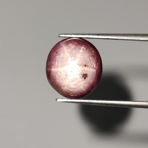 May include: A polished, oval-shaped gemstone held by tweezers. The gem is a deep reddish-pink color with a star-like effect visible on its surface. The stone has a smooth, reflective appearance and a few small inclusions.