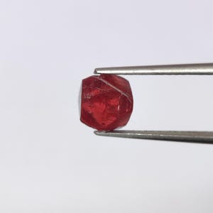 Peut inclure: Une pierre précieuse rouge foncé, facettée, tenue par une pince argentée sur fond blanc. La gemme a une forme légèrement irrégulière et une surface polie et réfléchissante, mettant en valeur sa couleur et sa clarté. La pince donne une idée de l'échelle.