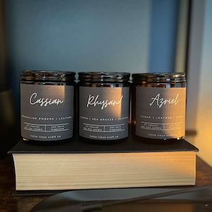 OFFICIALLY LICENSED The Bat Boys Collection | Rhysand | Cassian | Azriel |  ACOTAR Series Inspired | Book Candle | Soy Candle | Book Lover