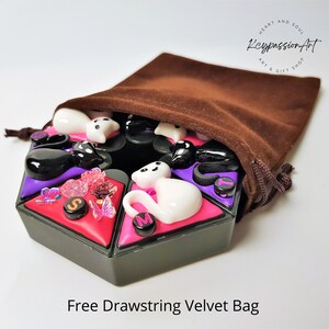 7 Day Pill Organizer 'mysterious Cats' Am Pm Pill Box, Medicine Vitamin