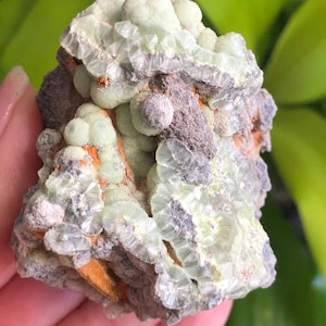 May include: A close-up of a light green mineral specimen with a crystalline structure. The mineral has a bumpy texture with areas of gray, orange, and white. The background is blurred, with green foliage visible.