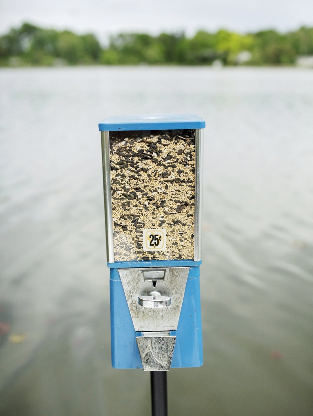 OUTDOOR Animal Feed Vending Machine Fish Food Vendor Duck Pellets Pets