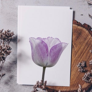 Postkarte Tulpe, Grußkarte, Blume