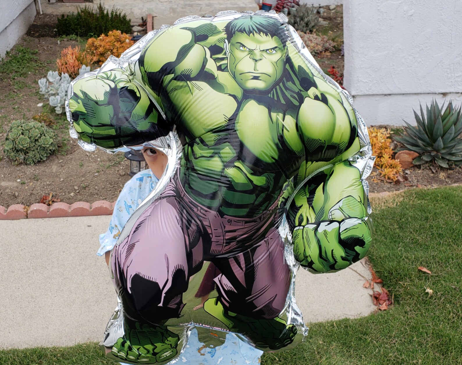 Hulk Birthday theme favor party supplies decoration ideas Etsy