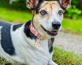 Etiqueta de mascota hecha a mano para perros y gatos - Encanto de collar de identificación personalizado y duradero
