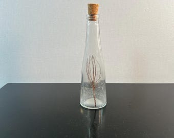 May include: A clear glass bottle with a cork stopper. Inside the bottle is a dried plant stem. The bottle is on a black surface, reflecting its shape. The background is a plain white wall.