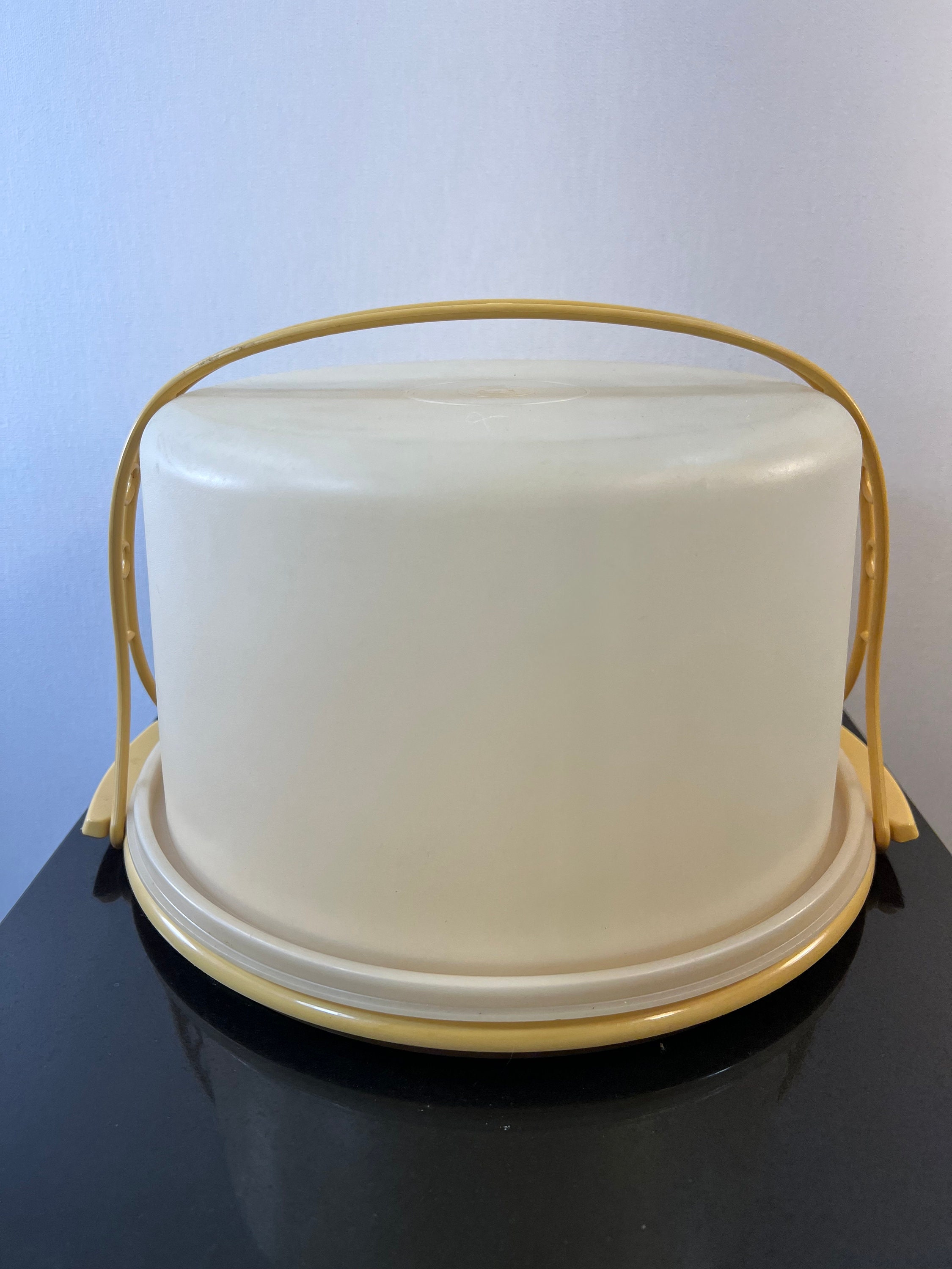 Rectangular Cake Taker – Tupperware US