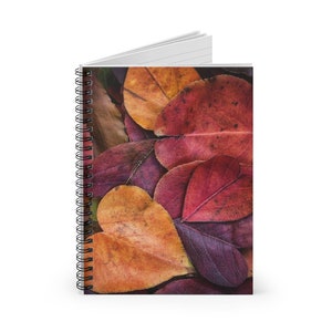 Autumn Leaves Notebook - Ruled Line, Blank Pages