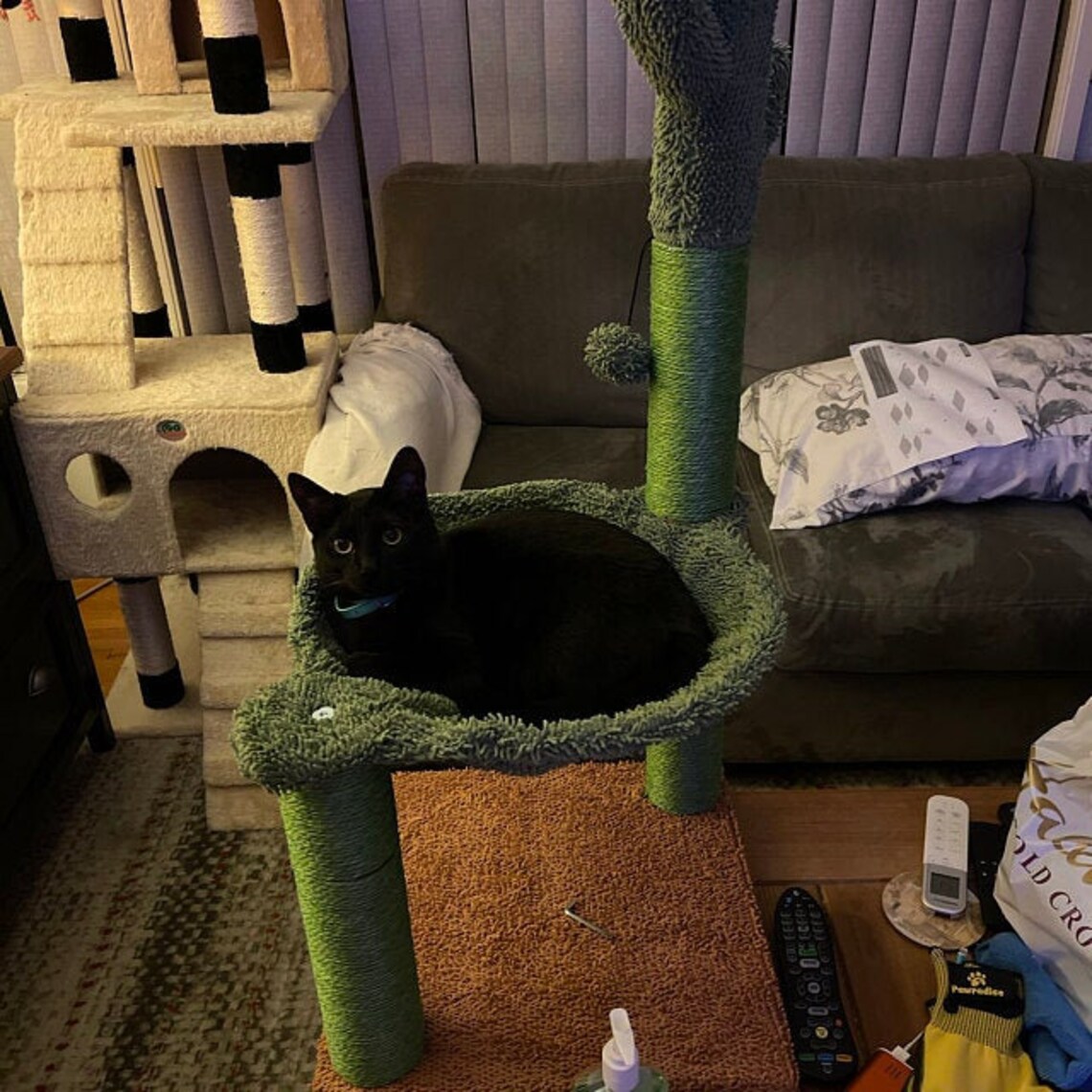 Cactus Cat Tree Tower with Hammock Cat Scratcher Cat Condo Etsy