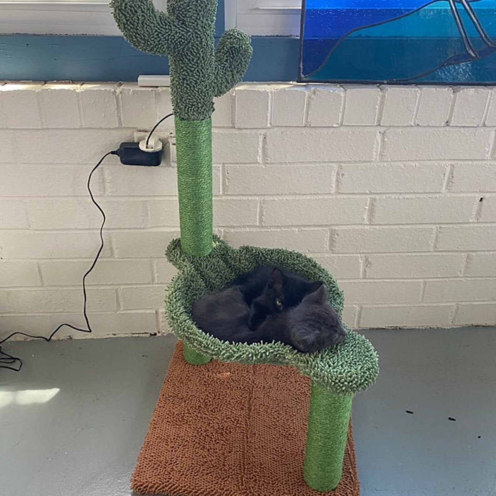 Cactus Cat Tree Tower with Hammock Cat Scratcher Cat Condo Etsy