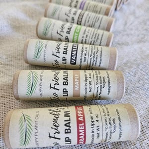 Organic Beeswax Lip Balm: Shea & Mango Butter (.4 oz)