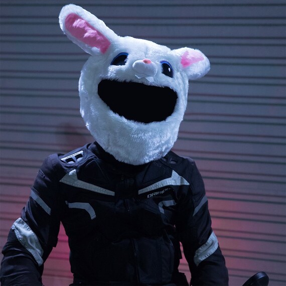 Bunny deals motorcycle helmet