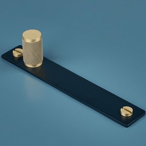 May include: A dark blue metal cabinet pull with a brass knob and two brass screws. The pull is rectangular and has a smooth surface. The knob is cylindrical and has a textured surface. The screws are small and have a round head.