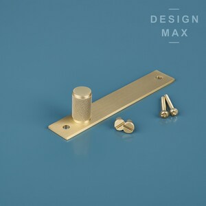 May include: A brass cabinet pull with a round knob and a rectangular plate. The pull comes with two screws.