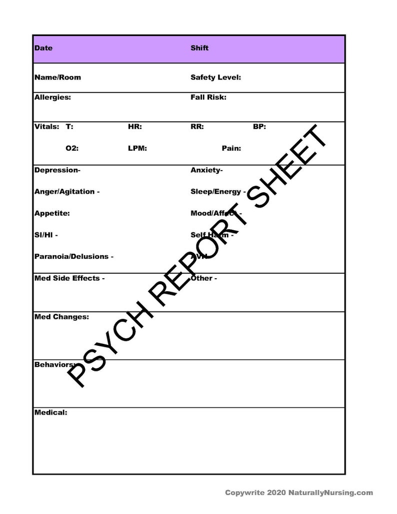 NURSING REPORT Sheet Psych/Mental Health Nurse Organizer rn/lpn/pmhnp simple Nurse Planner printable image 1